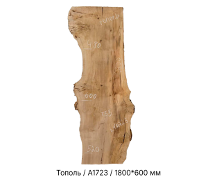 Слэб Тополь цельн.массив нешлифованный №А1723 / 55 * 480/520/600 * 1800 мм Слэб Тополь цельн.массив нешлифованный №А1723 / 55 * 480/520/600 * 1800 мм
