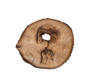 Спил Дуб цельн.массив нешлифованный №A5020 / 80 * 820 * 900 мм