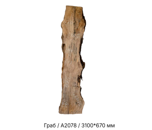 Слэб Граб цельн.массив нешлифованный №А2078 / 45 * 400/650/670 * 3100 мм Слэб Граб цельн.массив нешлифованный №А2078 / 45 * 400/650/670 * 3100 мм