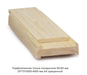 Подбалясенник Сосна АА сращенный / посадочное 60/60
