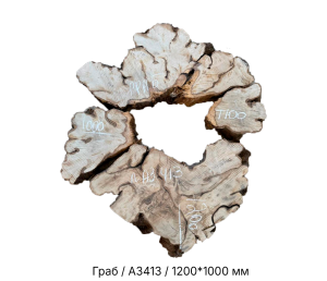 Спил Граб цельн.массив нешлифованный №А3413 / 100 * 1000 * 1200 мм Спил Граб цельн.массив нешлифованный №А3413 / 100 * 1000 * 1200 мм