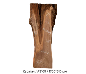 Слэб Карагач цельн.массив нешлифованный №А3109 / 55 * 420/500/510 * 1700 мм Слэб Карагач цельн.массив нешлифованный №А3109 / 55 * 420/500/510 * 1700 мм