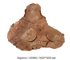 Спил Карагач цельн.массив нешлифованный №А3494 / 100 * 1200 * 1420 мм