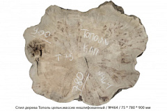 Спил дерева Тополь цельн.массив нешлифованный / №464 / 75 * 780 * 900 мм